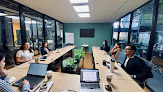 Negocio Viralfeed Marketing Digital
